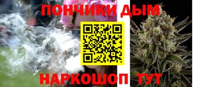 шишки Обнинск