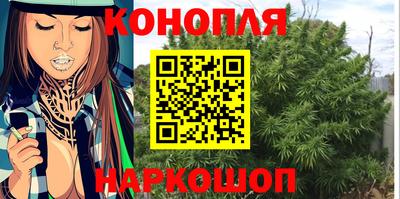шишки Обнинск