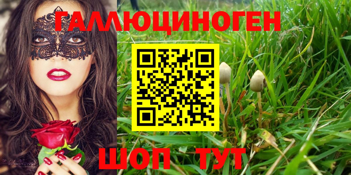 Галлюциногенные грибы прущие грибы Топки